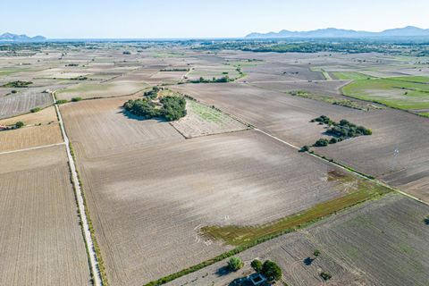 Tomt i Maria De La Salut, Mallorca - foto 1
