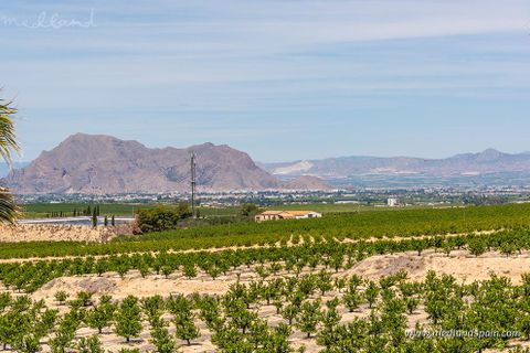 Villa a Algorfa, Alicante, Algorfa - € 445.000 | Ref: N-5326508 - foto 15