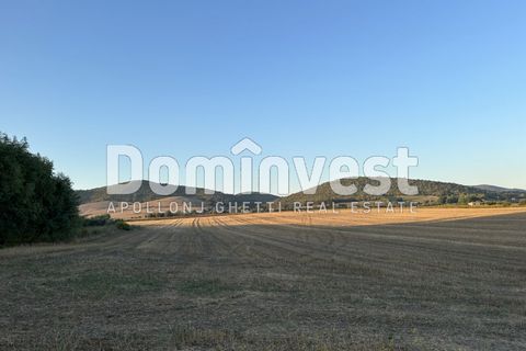 Helårsgrund i Capalbio, Grosseto, Capalbio - € 690.000 | Ref: D-terrenopescia - foto 1