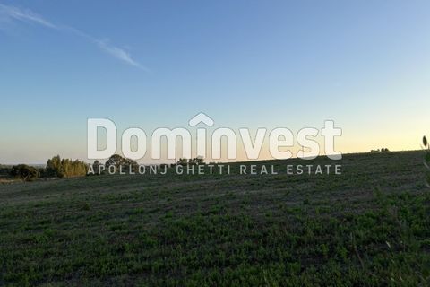 Helårsgrund i Capalbio, Grosseto, Capalbio - € 690.000 | Ref: D-terrenopescia - foto 2