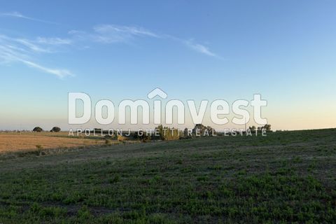 Helårsgrund i Capalbio, Grosseto, Capalbio - € 690.000 | Ref: D-terrenopescia - foto 3