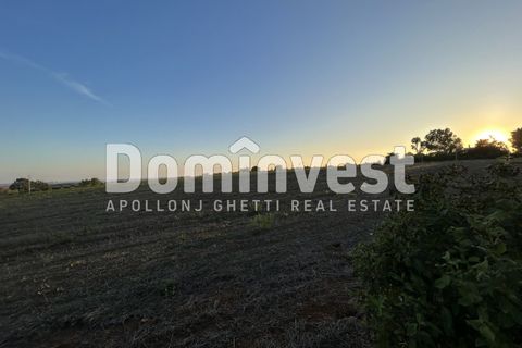 Helårsgrund i Capalbio, Grosseto, Capalbio - € 690.000 | Ref: D-terrenopescia - foto 4