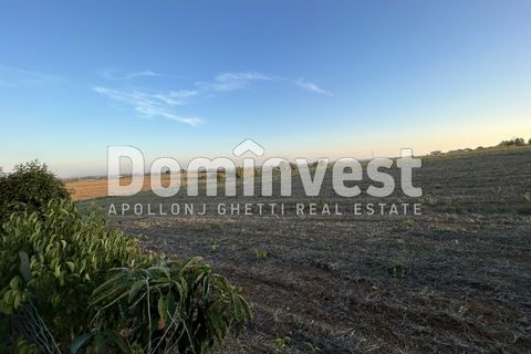 Helårsgrund i Capalbio, Grosseto, Capalbio - € 690.000 | Ref: D-terrenopescia - foto 5
