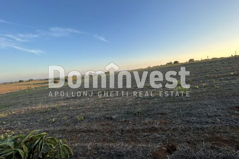 Helårsgrund i Capalbio, Grosseto, Capalbio - € 690.000 | Ref: D-terrenopescia - foto 6