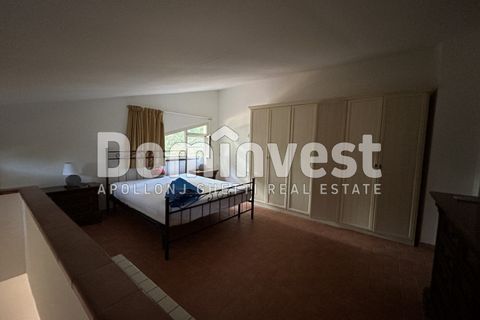 Landejendom i Capalbio, Grosseto, Capalbio - € 600.000 | Ref: D-PEDEMONANA-V - foto 9