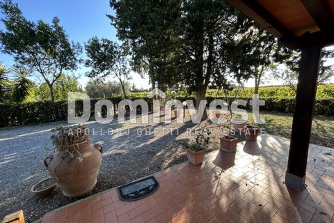 Landejendom i Capalbio, Grosseto, Capalbio - € 600.000 | Ref: D-PEDEMONANA-V - foto 12