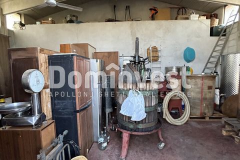 Landejendom i Capalbio, Grosseto, Capalbio - € 600.000 | Ref: D-PEDEMONANA-V - foto 19