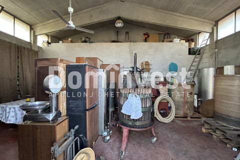 Landejendom i Capalbio, Grosseto, Capalbio - € 600.000 | Ref: D-PEDEMONANA-V - foto 20