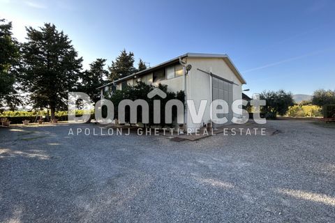 Landejendom i Capalbio, Grosseto, Capalbio - € 600.000 | Ref: D-PEDEMONANA-V - foto 2