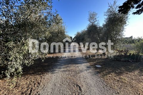 Landejendom i Capalbio, Grosseto, Capalbio - € 600.000 | Ref: D-PEDEMONANA-V - foto 4