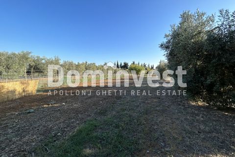 Landejendom i Capalbio, Grosseto, Capalbio - € 600.000 | Ref: D-PEDEMONANA-V - foto 7