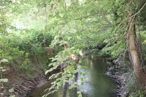 Terra a Verdelot, Seine-et-Marne, Verdelot - € 13.000 | Ref: 23150b - foto 6