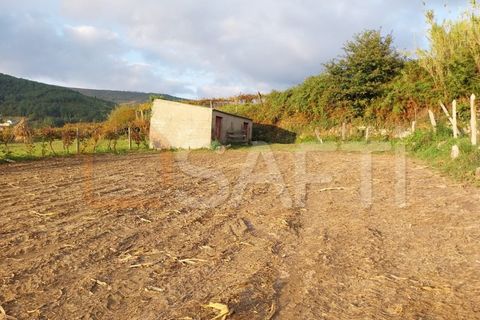 Helårsgrund i Moncao, Viana do Castelo, Moncao - € 8.000 | Ref: SAFTI:003962 - foto 2