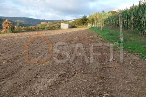 Helårsgrund i Moncao, Viana do Castelo, Moncao - € 8.000 | Ref: SAFTI:003962 - foto 8