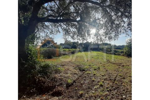 Helårsgrund i Moncao, Viana do Castelo, Moncao - € 64.500 | Ref: SAFTI:003954 - foto 2