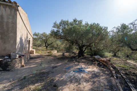 Finca i Tortosa, Tarragona, Tortosa - € 43.000 | Ref: 950 - foto 4