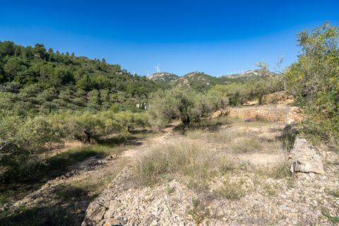 Finca i Tortosa, Tarragona, Tortosa - € 43.000 | Ref: 950 - foto 8