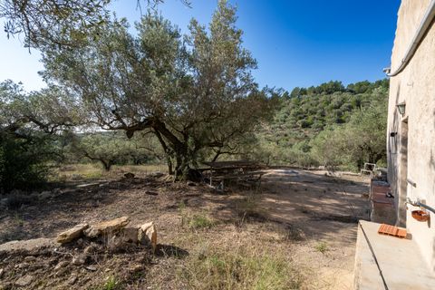 Finca i Tortosa, Tarragona, Tortosa - € 43.000 | Ref: 950 - foto 5