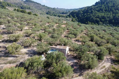 Finca i Tortosa, Tarragona, Tortosa - € 43.000 | Ref: 950 - foto 26