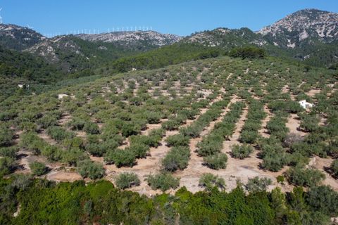 Finca i Tortosa, Tarragona, Tortosa - € 43.000 | Ref: 950 - foto 30