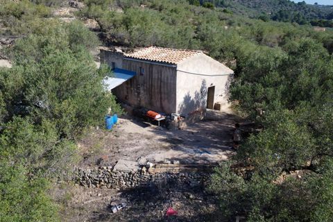 Finca i Tortosa, Tarragona, Tortosa - € 43.000 | Ref: 950 - foto 31