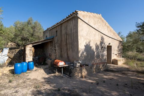 Finca i Tortosa, Tarragona, Tortosa - € 43.000 | Ref: 950 - foto 1