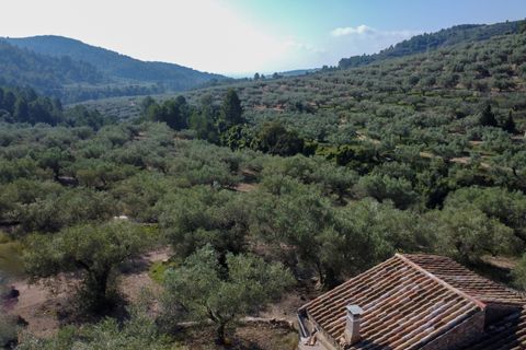 Finca i Tortosa, Tarragona, Tortosa - € 43.000 | Ref: 950 - foto 27