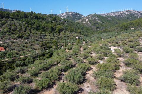 Finca i Tortosa, Tarragona, Tortosa - € 43.000 | Ref: 950 - foto 29