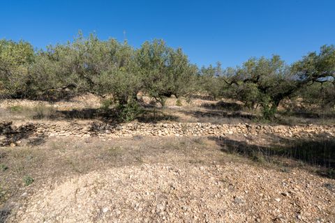 Finca i Tortosa, Tarragona, Tortosa - € 43.000 | Ref: 950 - foto 11