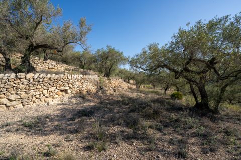 Finca i Tortosa, Tarragona, Tortosa - € 43.000 | Ref: 950 - foto 9