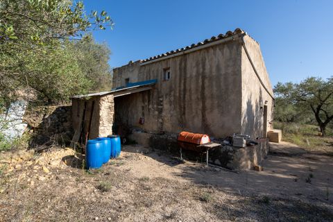 Finca i Tortosa, Tarragona, Tortosa - € 43.000 | Ref: 950 - foto 3