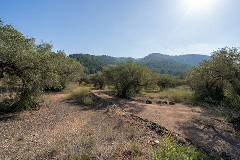 Finca i Tortosa, Tarragona, Tortosa - € 43.000 | Ref: 950 - foto 10
