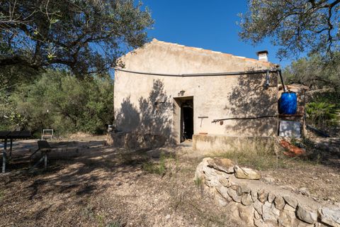 Finca i Tortosa, Tarragona, Tortosa - € 43.000 | Ref: 950 - foto 2