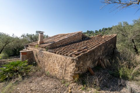 Finca i Tortosa, Tarragona, Tortosa - € 43.000 | Ref: 950 - foto 7