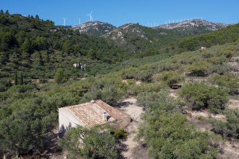 Finca i Tortosa, Tarragona, Tortosa - € 43.000 | Ref: 950 - foto 28