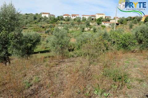 Grond in Serta, Castelo Branco, Serta - € 12.500 | Ref: VF272 - foto 2