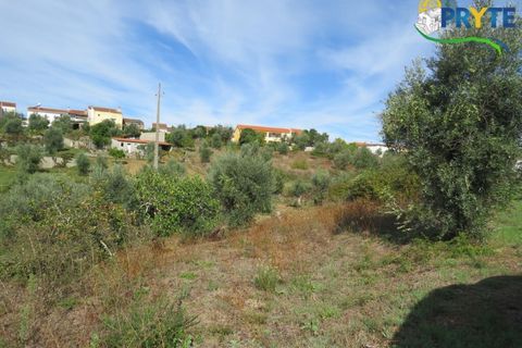 Grond in Serta, Castelo Branco, Serta - € 12.500 | Ref: VF272 - foto 3