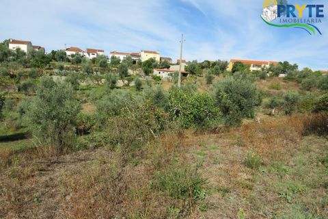 Grond in Serta, Castelo Branco, Serta - € 12.500 | Ref: VF272 - foto 4
