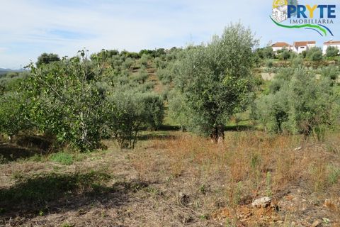 Grond in Serta, Castelo Branco, Serta - € 12.500 | Ref: VF272 - foto 5