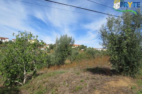 Grond in Serta, Castelo Branco, Serta - € 12.500 | Ref: VF272 - foto 8