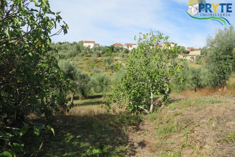 Grond in Serta, Castelo Branco, Serta - € 12.500 | Ref: VF272 - foto 9