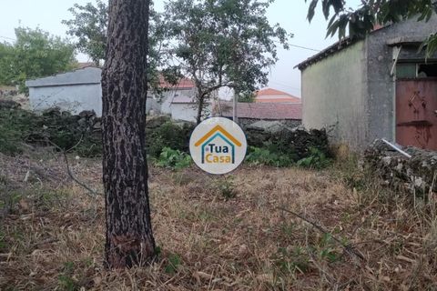 Byhus i Castro Daire, Viseu, Castro Daire - € 27.500 | Ref: 1TC2690 - foto 4