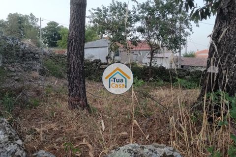 Byhus i Castro Daire, Viseu, Castro Daire - € 27.500 | Ref: 1TC2690 - foto 13