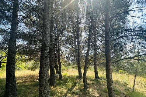 Helårsgrund i Serignan, Herault, Serignan - € 219.000 | Ref: 34B-BOIS - foto 2