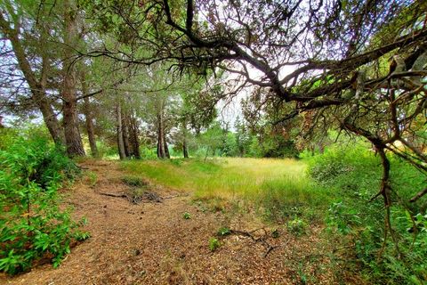 Helårsgrund i Serignan, Herault, Serignan - € 219.000 | Ref: 34B-BOIS - foto 4