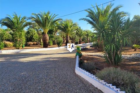 Villa a Puente Genil, Cordoba, Puente Genil - € 425.000 | Ref: VL1170 - foto 4