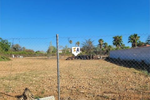 Villa a Puente Genil, Cordoba, Puente Genil - € 425.000 | Ref: VL1170 - foto 16