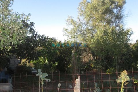 Helårsgrund i Leiria, Leiria, Leiria - € 49.500 | Ref: ANG930 - foto 7