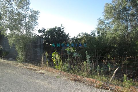 Helårsgrund i Leiria, Leiria, Leiria - € 49.500 | Ref: ANG930 - foto 8