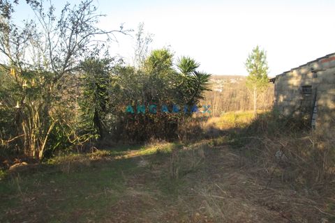 Helårsgrund i Leiria, Leiria, Leiria - € 49.500 | Ref: ANG930 - foto 12